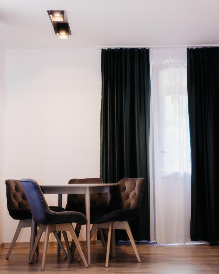 Vila Ursul Negru 索瓦塔 外观 照片