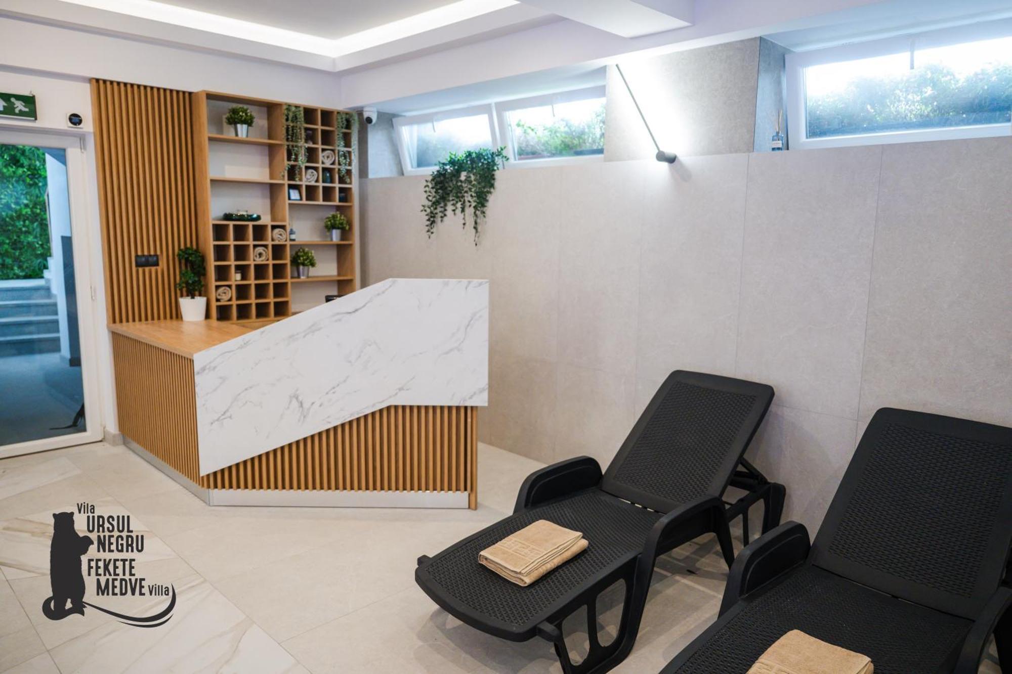 Vila Ursul Negru 索瓦塔 外观 照片