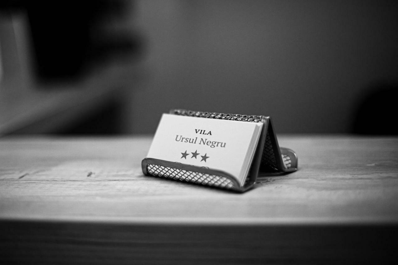 Vila Ursul Negru 索瓦塔 外观 照片